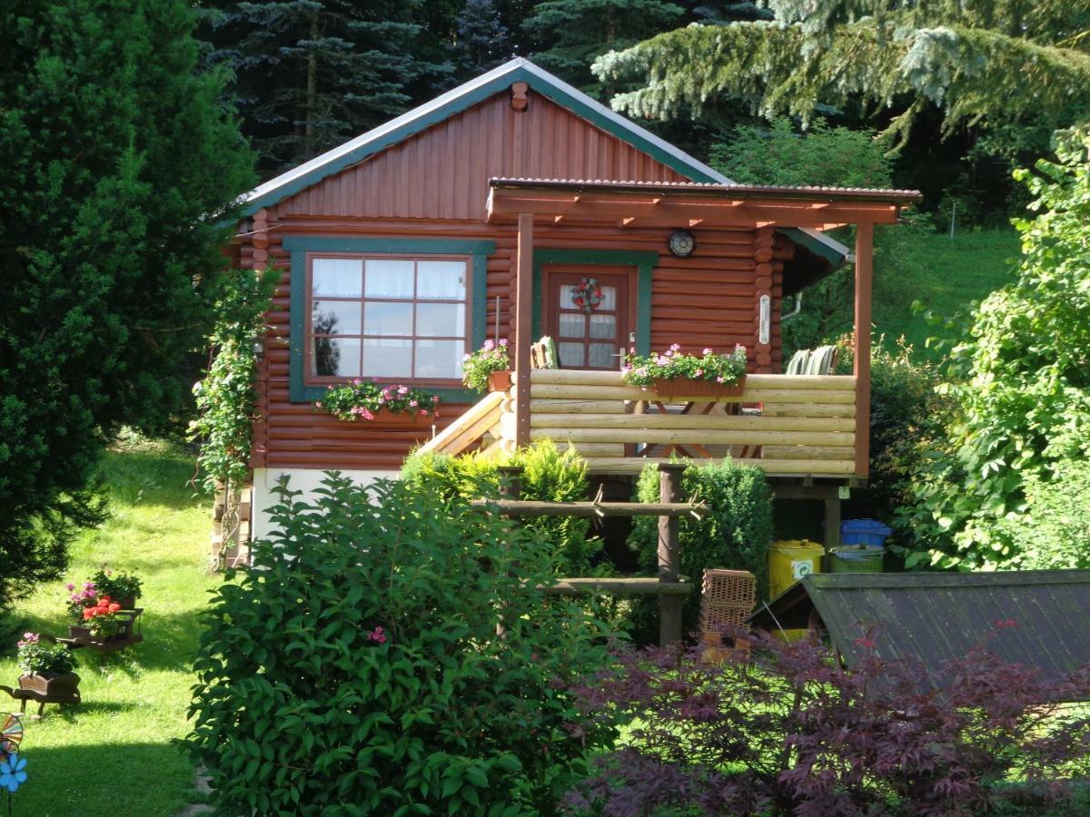 Ferienhaus Sachse Villa Pockau Kültér fotó